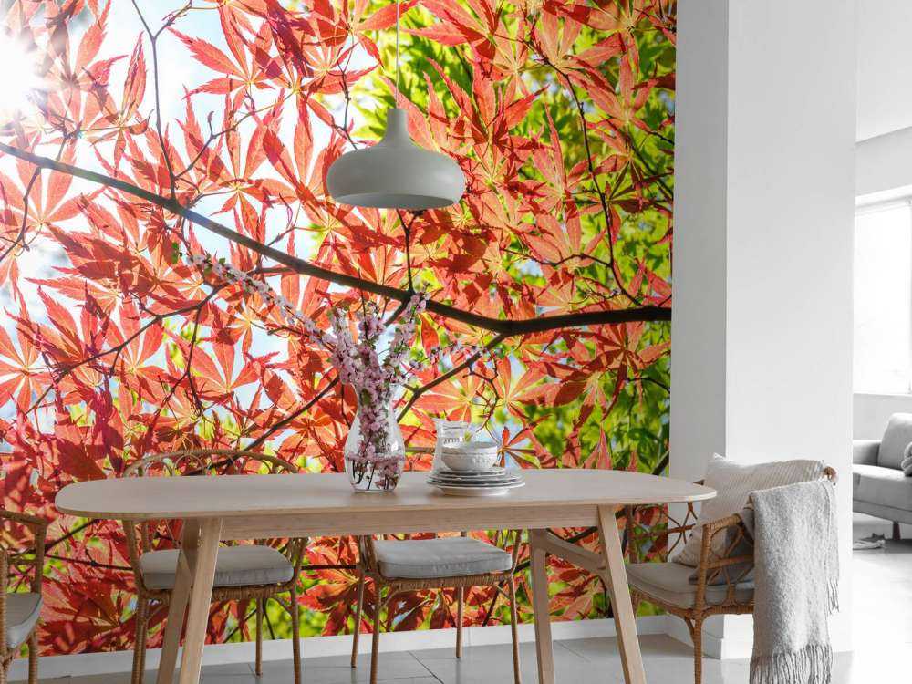 Røde efterårsblade