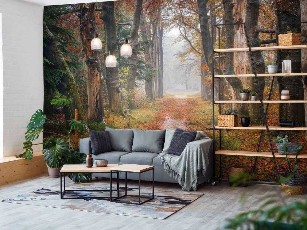 Skovsti med gamle træer