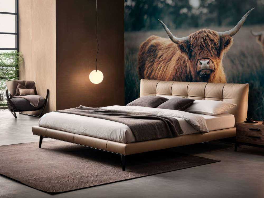 Skotsk højlænder i nærbillede