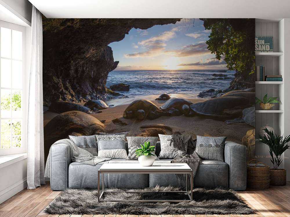 Skildpadder i en grotte