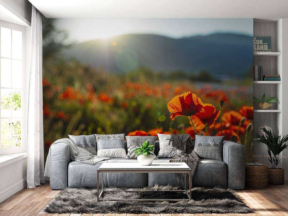 Valmuer med solstråler