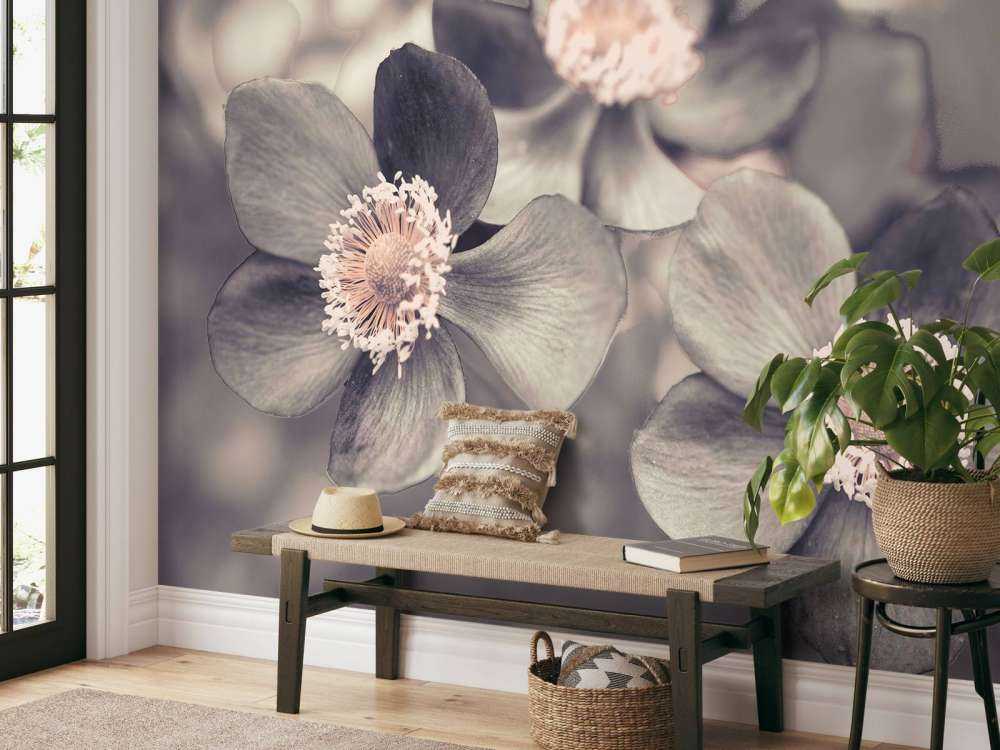 Anemone blomst