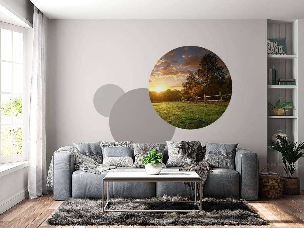 Græs ved solnedgang