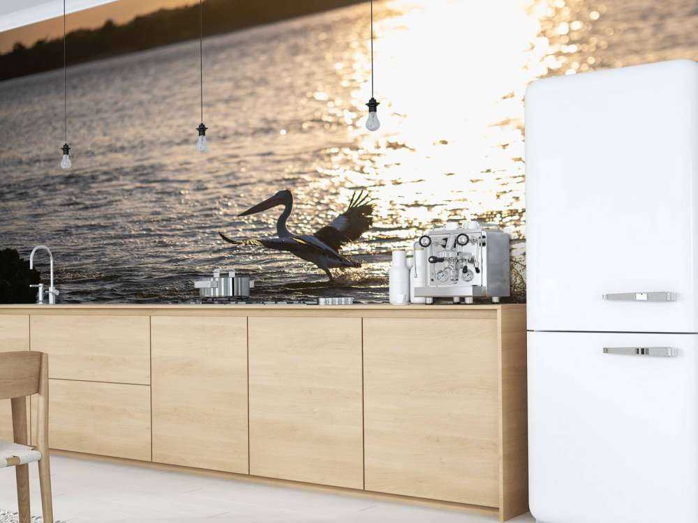 Pelikaner i skumringen