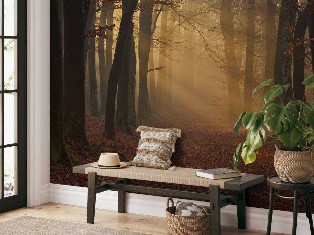 Mystisk efterårsskov