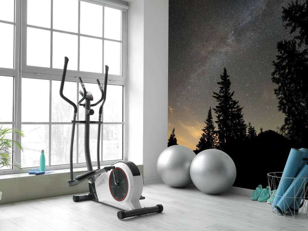 Himmel fuld af stjerner