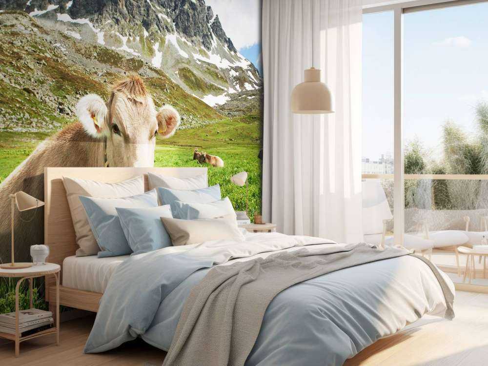 Østrigsk ko