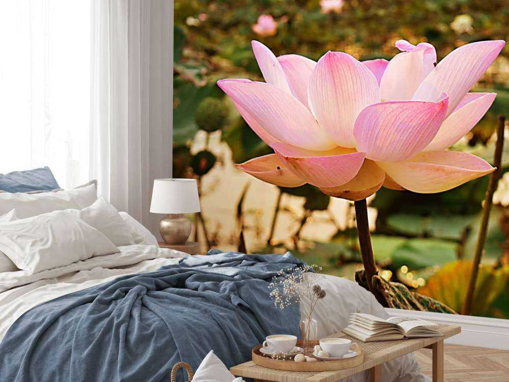 Lyserød lotusblomst