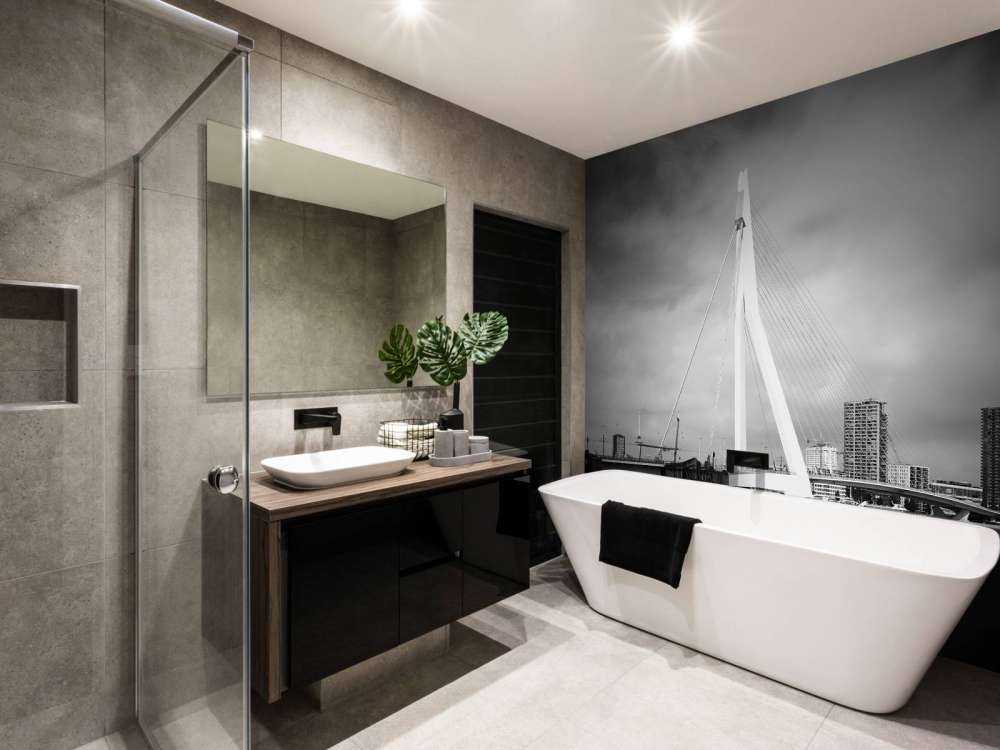 Erasmus bro Rotterdam