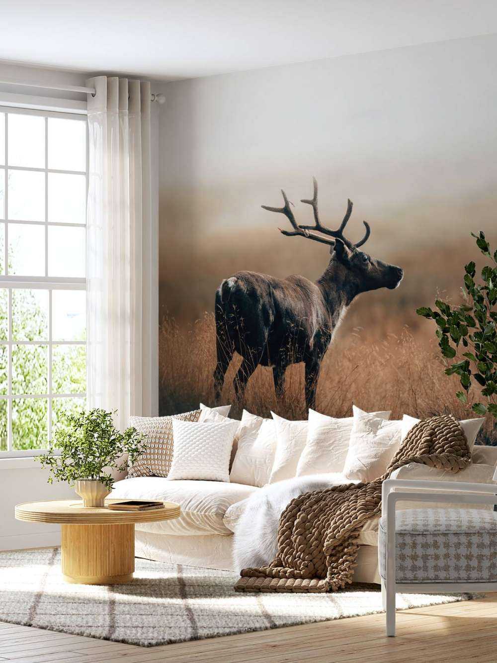 Rensdyr i det høje græs