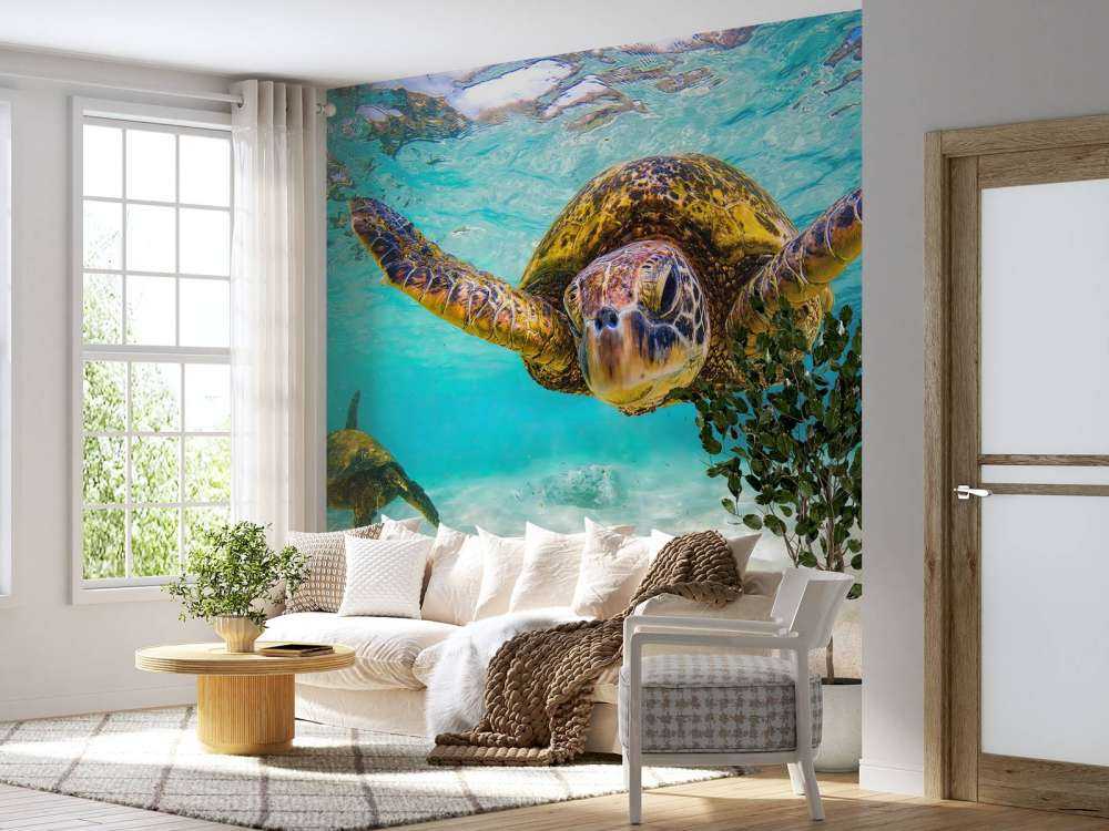 Havskildpadde i havet