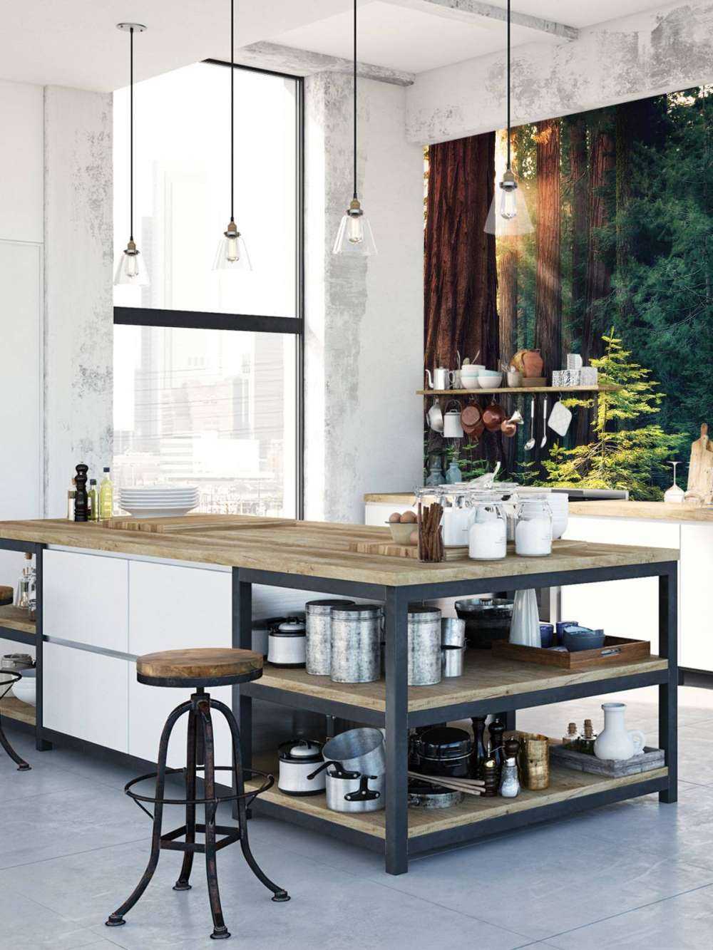 Sollys mellem mahogni-træerne