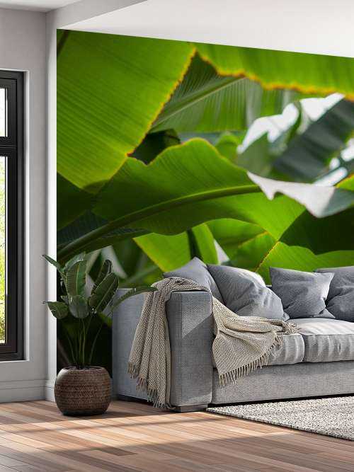 Palme blade