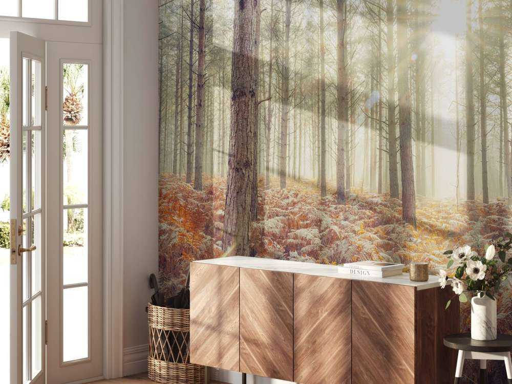 Solstråler gennem de kolde træer