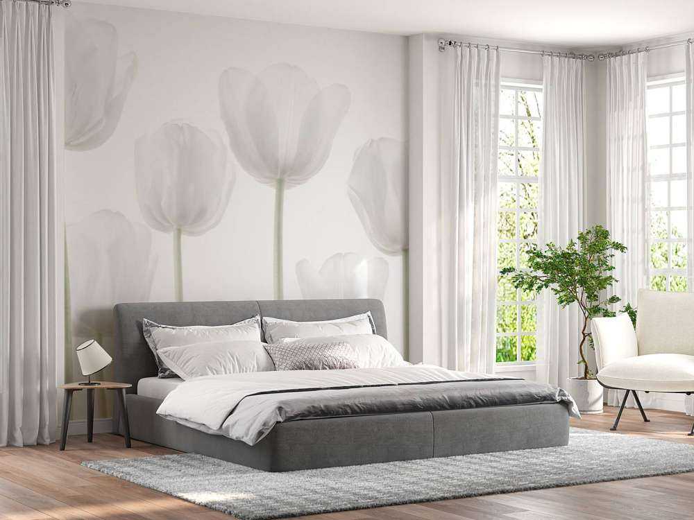 Hvide tulipaner
