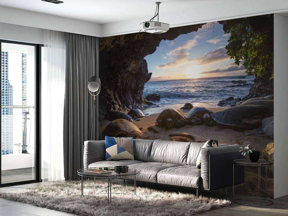 Skildpadder i en grotte