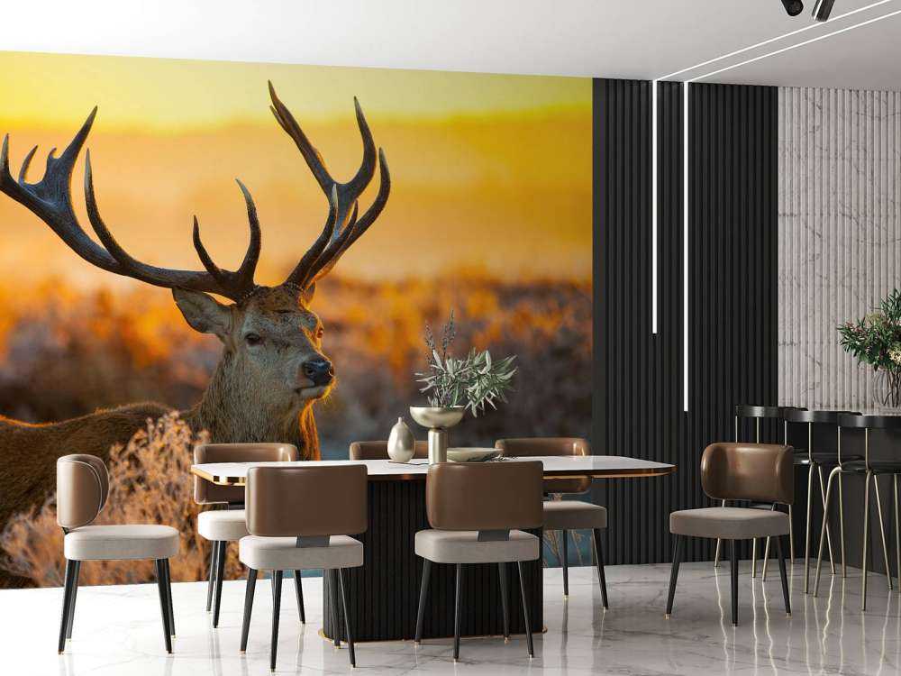 Rådjur i naturreservat