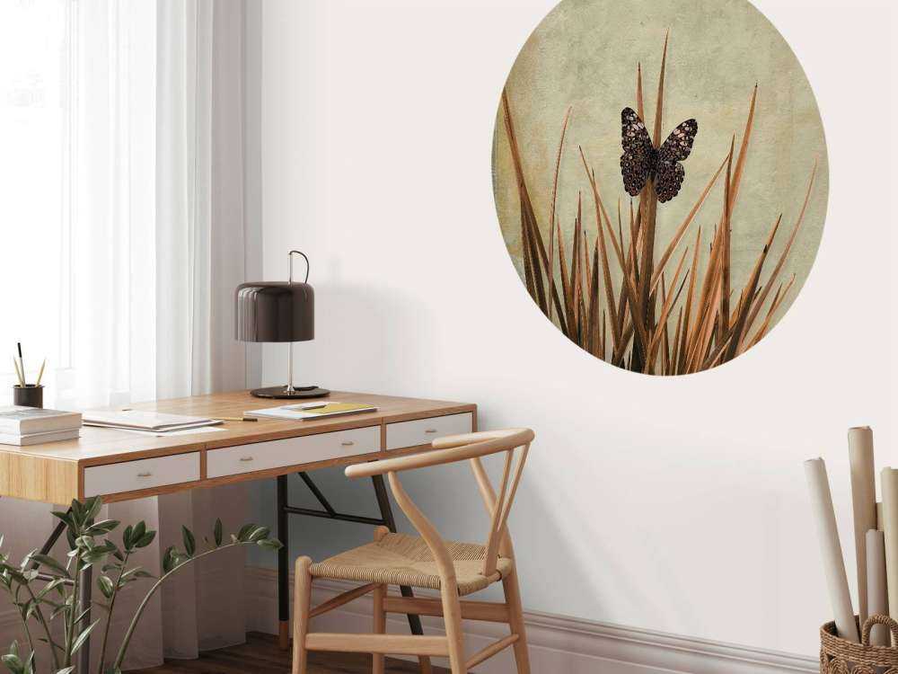 Fjäril vid gammal vägg