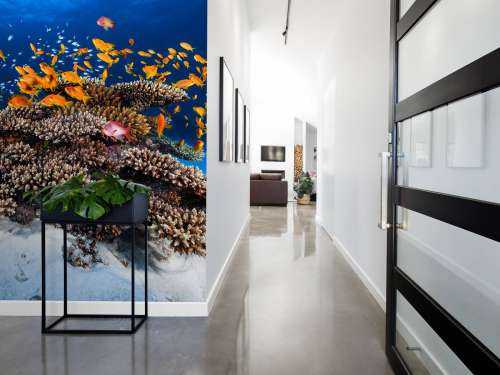 Marine Life