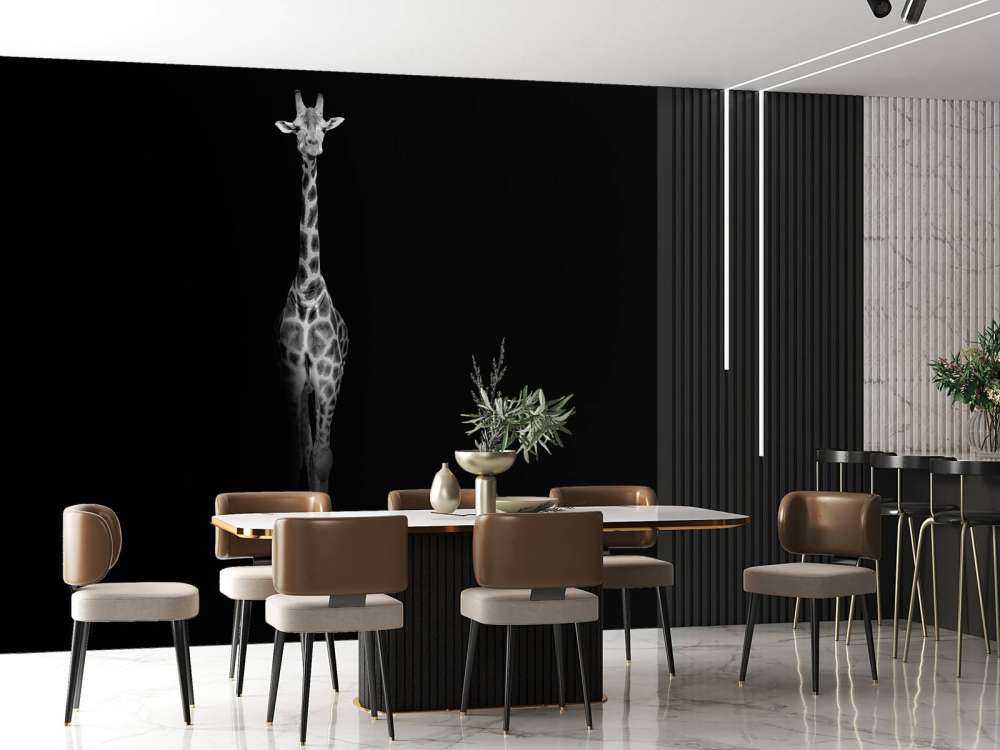 Giraff svartvitt