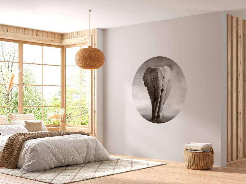 Vacker elefant