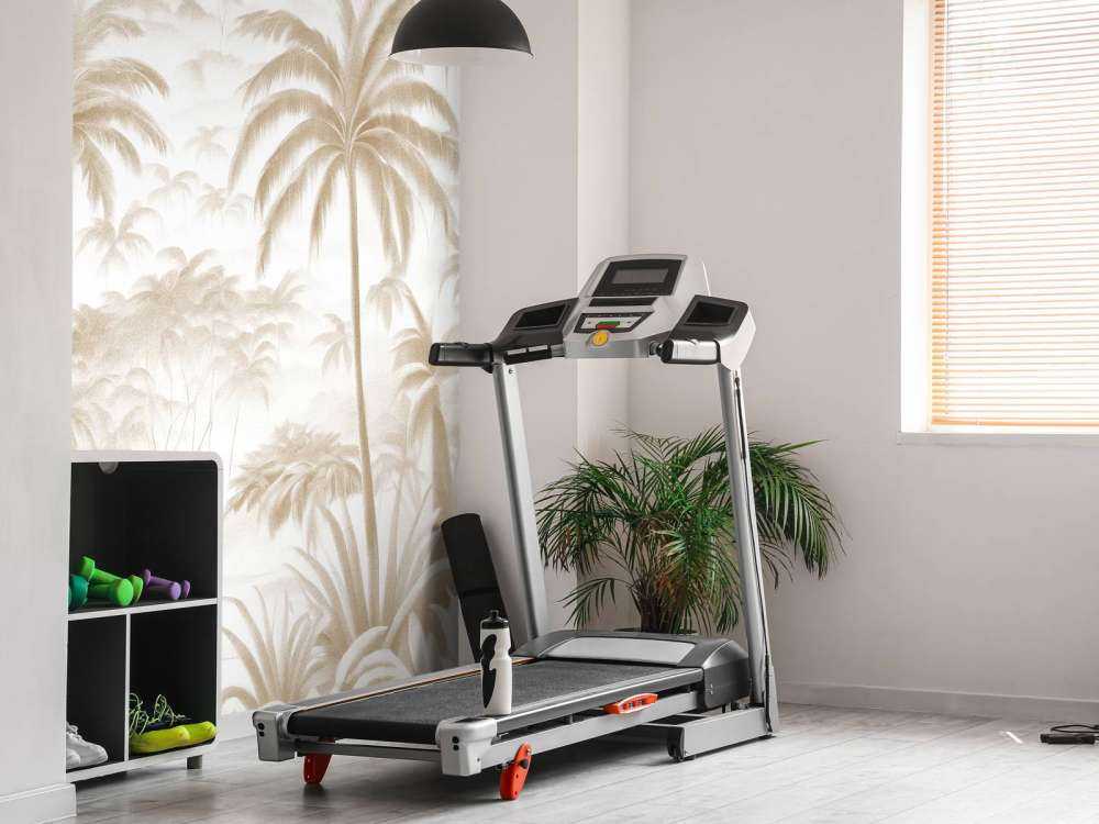 Tropisk Bergsoas, taupe