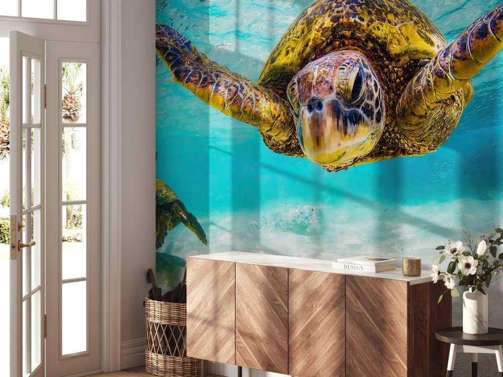 Havssköldpadda i havet