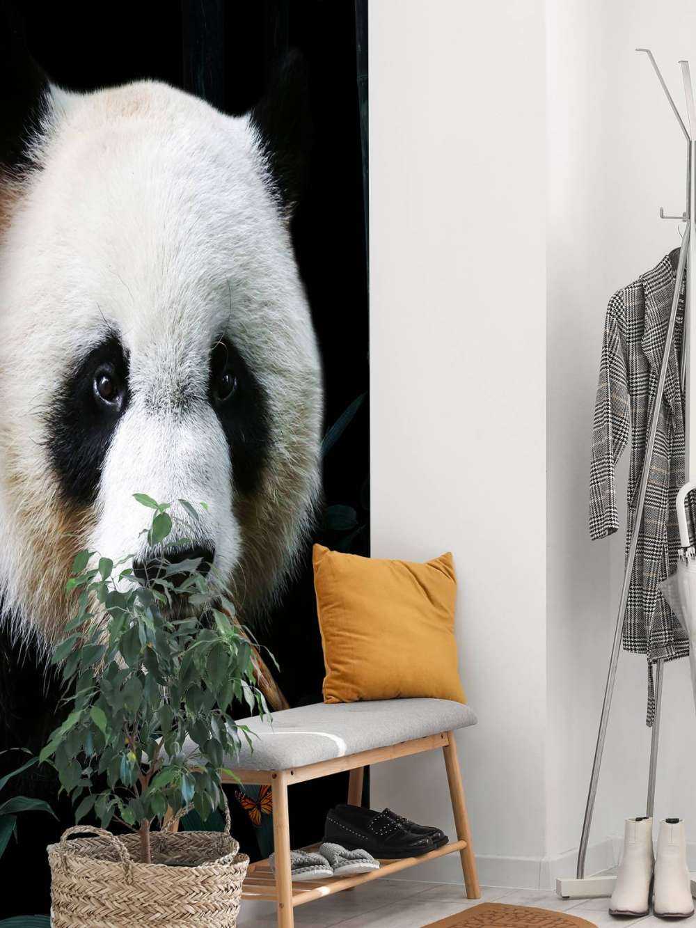 Panda Porträtt