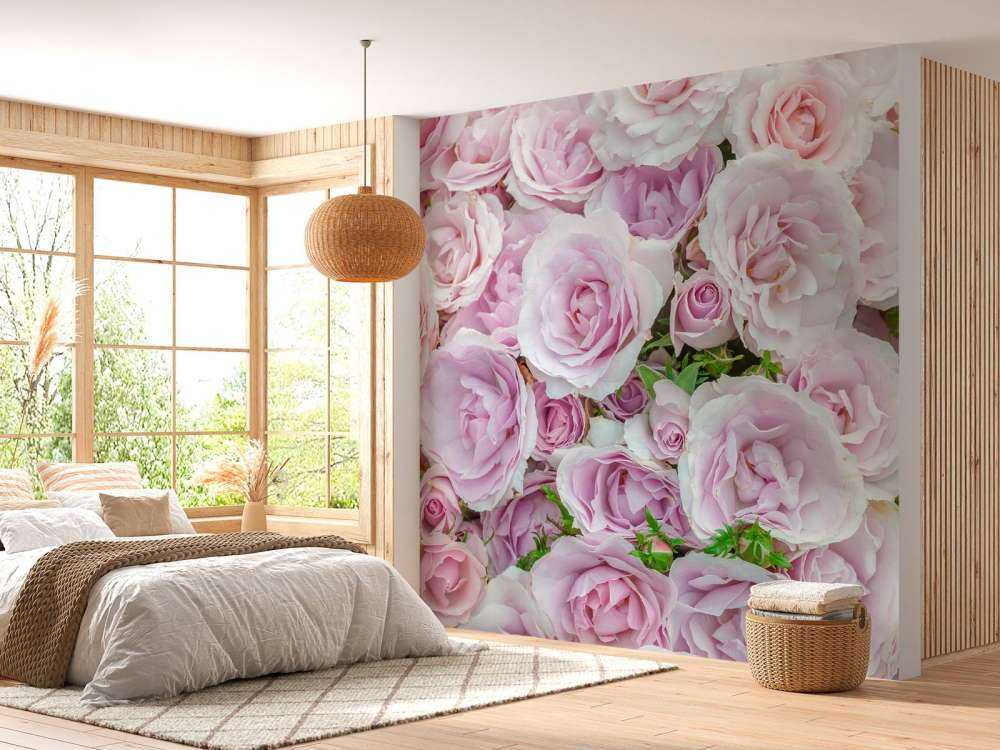 Färgglada vita och rosa rosor