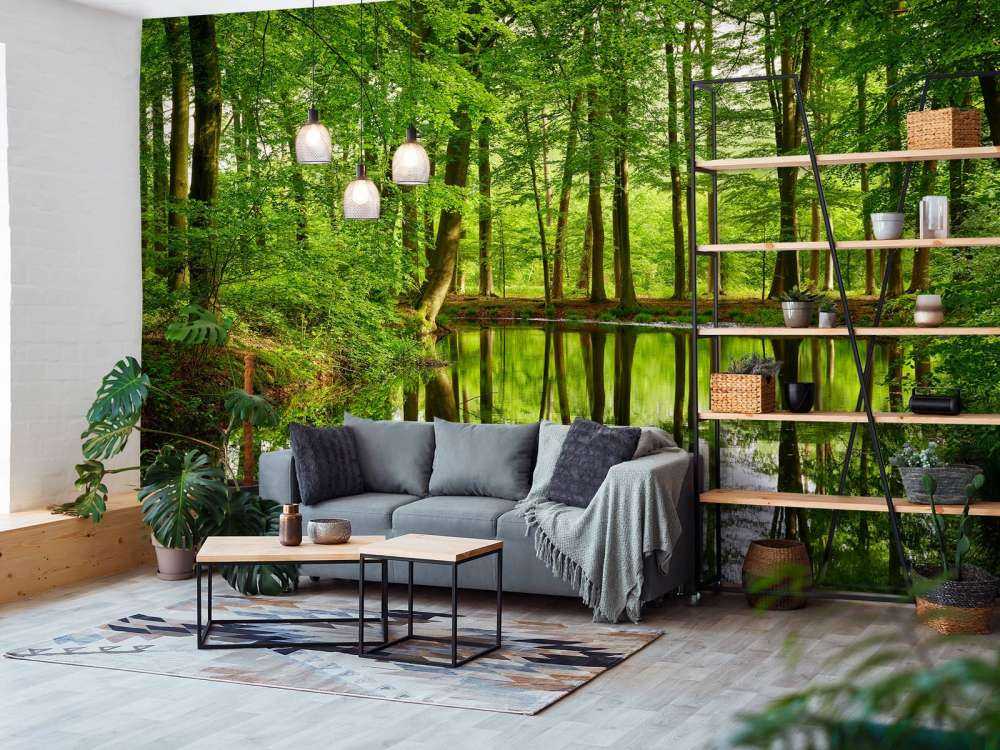 Trädens reflektion i vatten