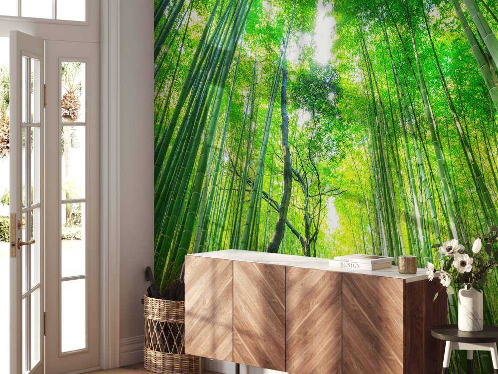 Bambusskog i Arashiyama
