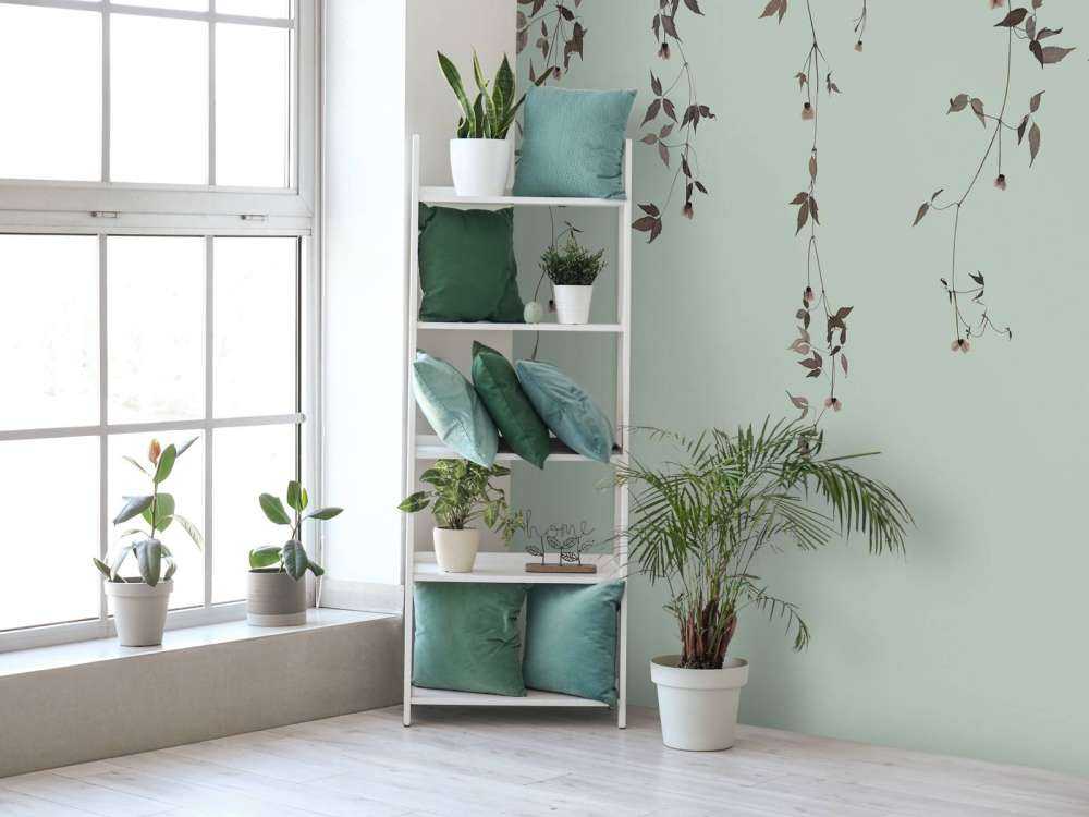 Klematiskvister på grågrønn