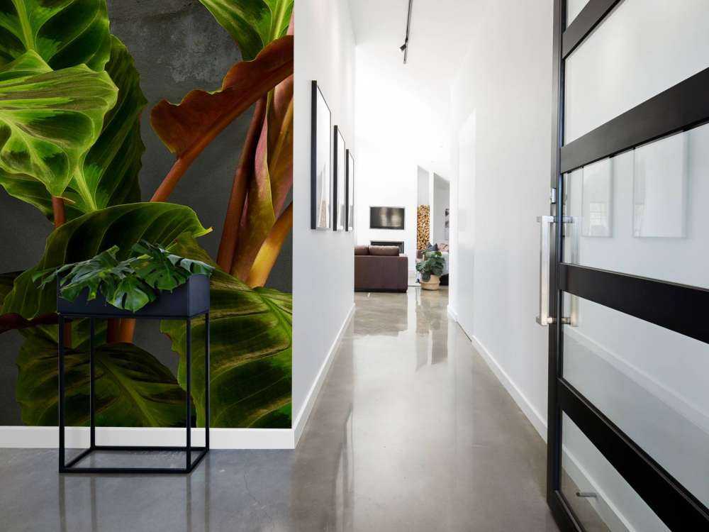 Plante med vakre grønne blader