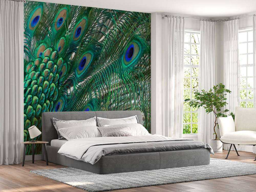 Farget fjærdrakt av en påfugl