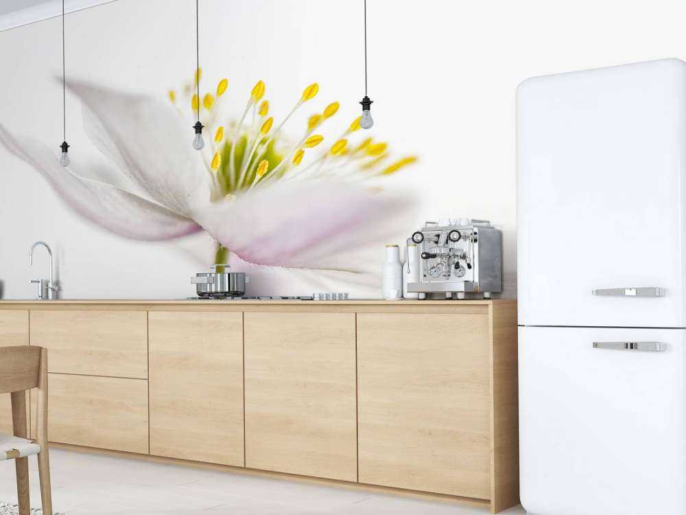 Beautiful Nemorosa**