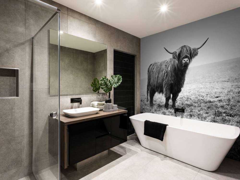 Skotske høyland i gresset