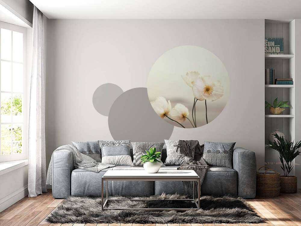 Hvite valmuer på nært hgammel