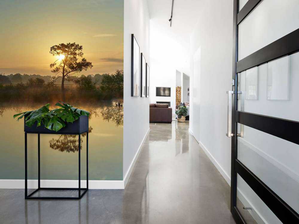 Soloppgang ved bosven