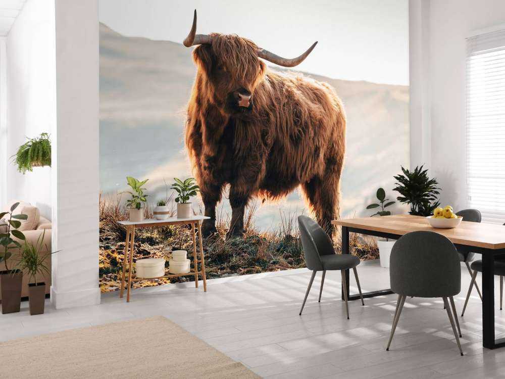 Det skotske høylandet på en høyde