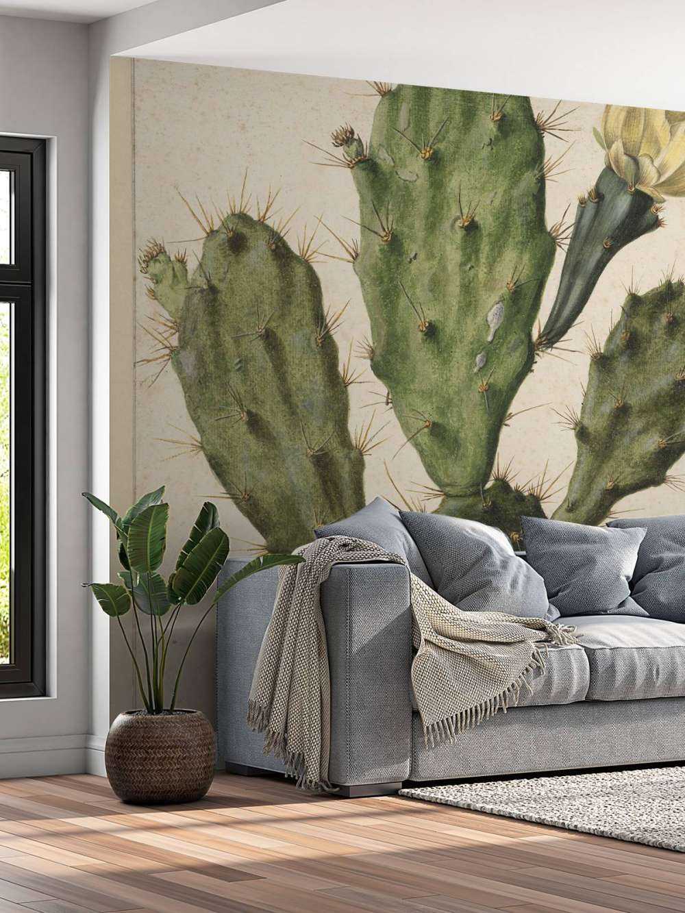 Blomstrende fikenkaktus