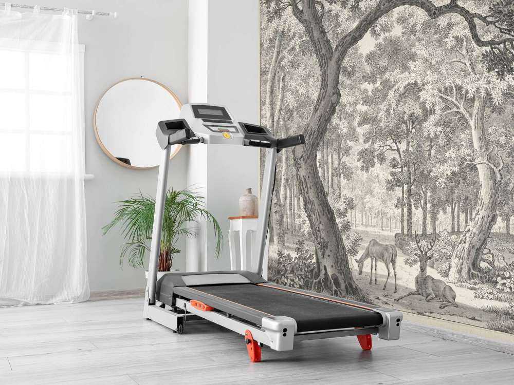 Skogsutsikt med to hjort