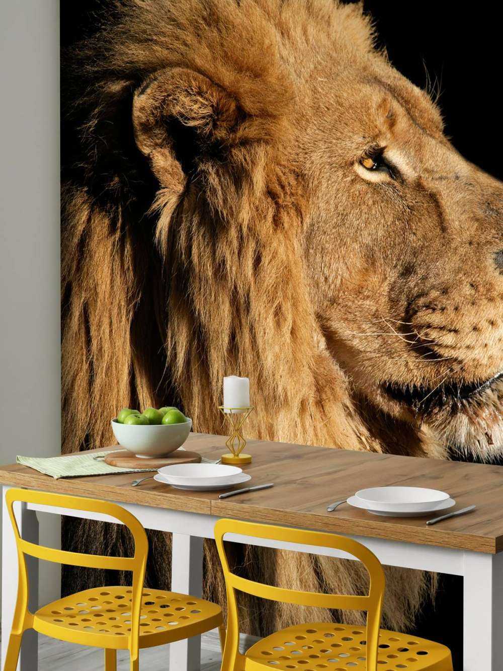 Sideprofil av en løve