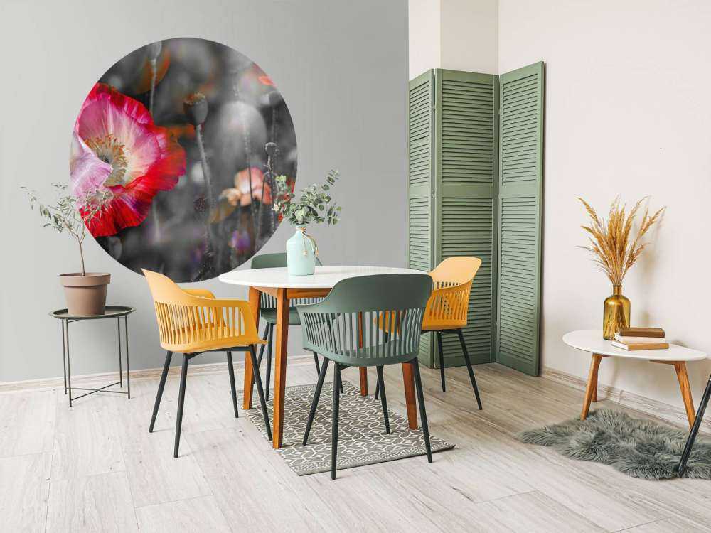 Valmuer i svart, hvitt, rødt