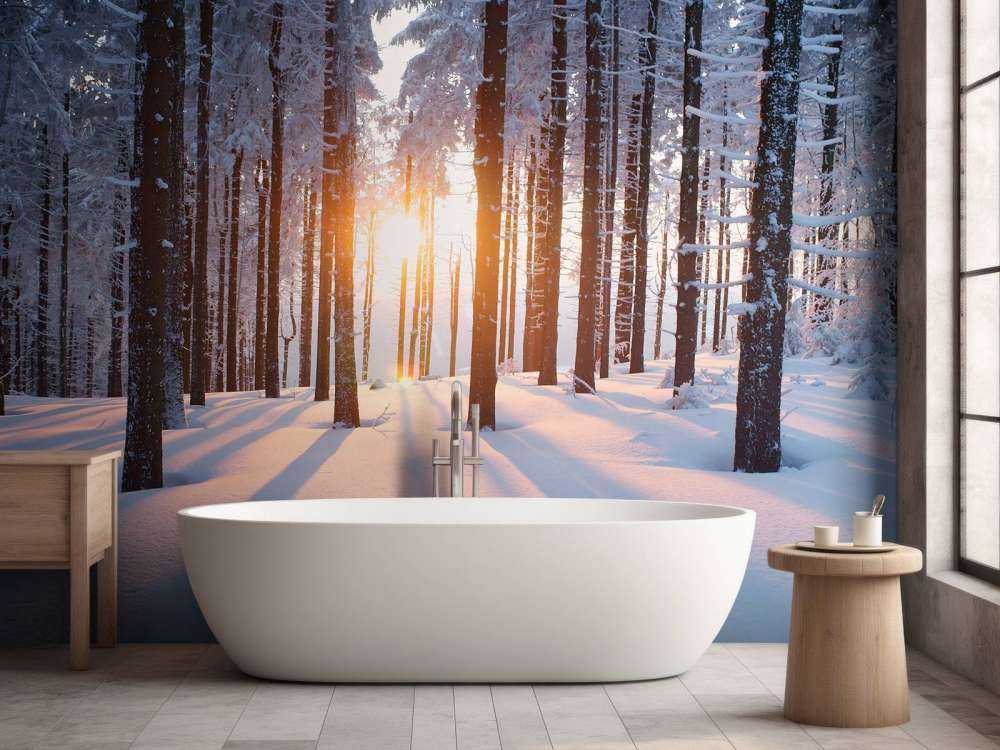 Solnedgang i en vinterskog