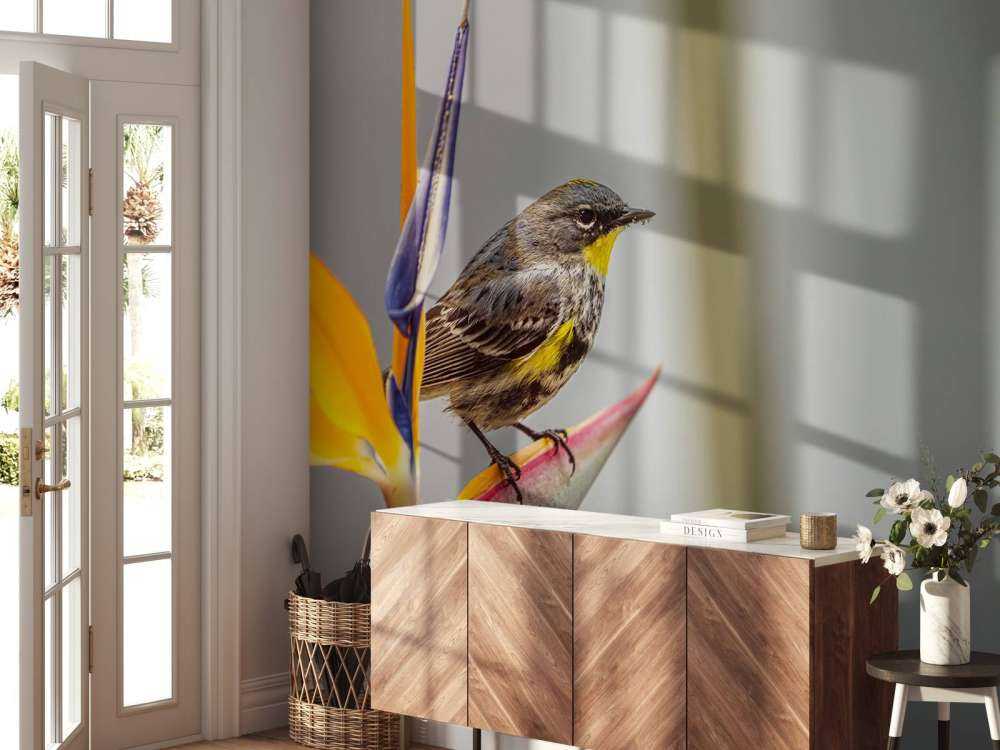 Paradisblomst med fugl