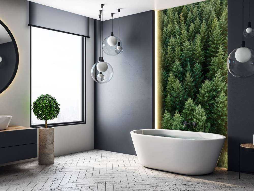 Douglas fyrer ovenfra