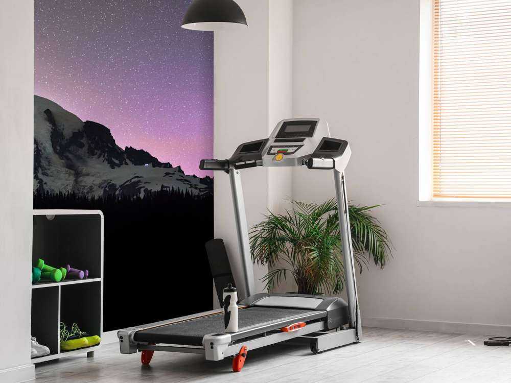 Mount Rainier med nordlys