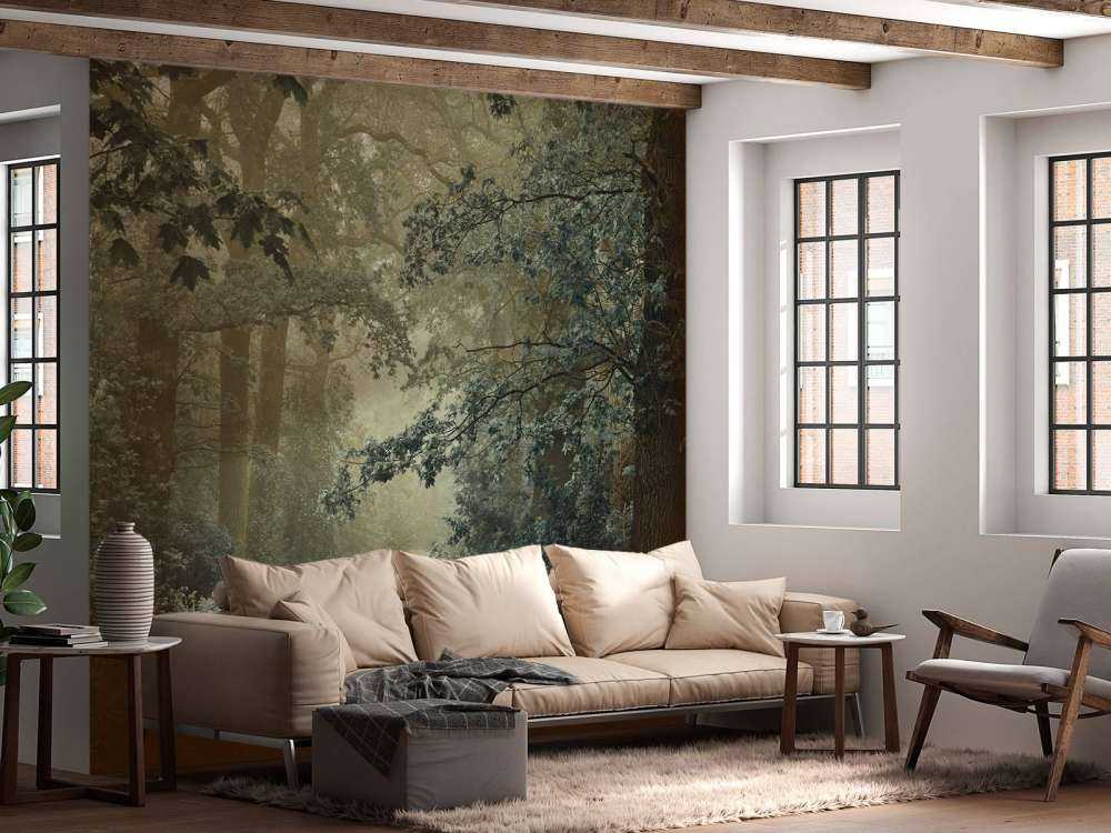 gjennom skog med tåke