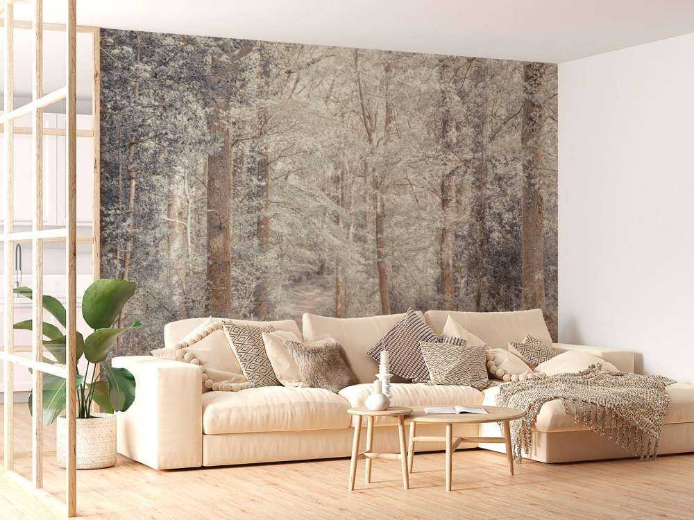 En sti gjennom en grønn skog