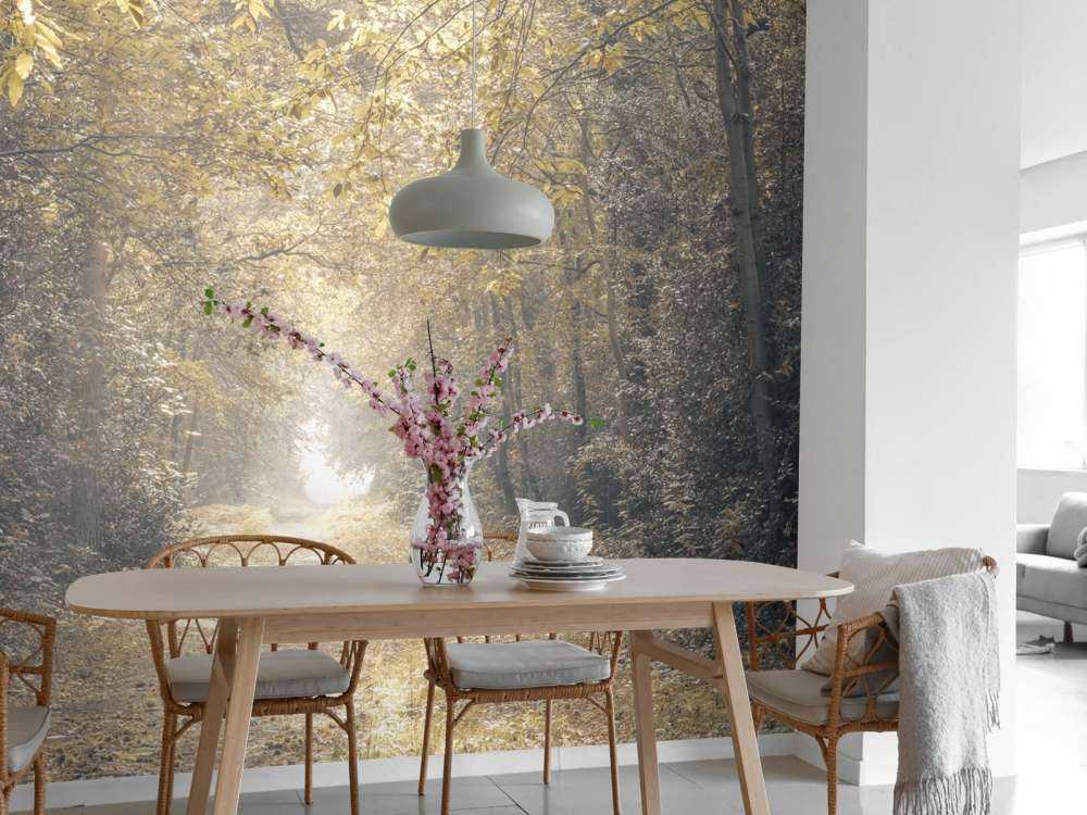 Sti gjennom en forlatt skog